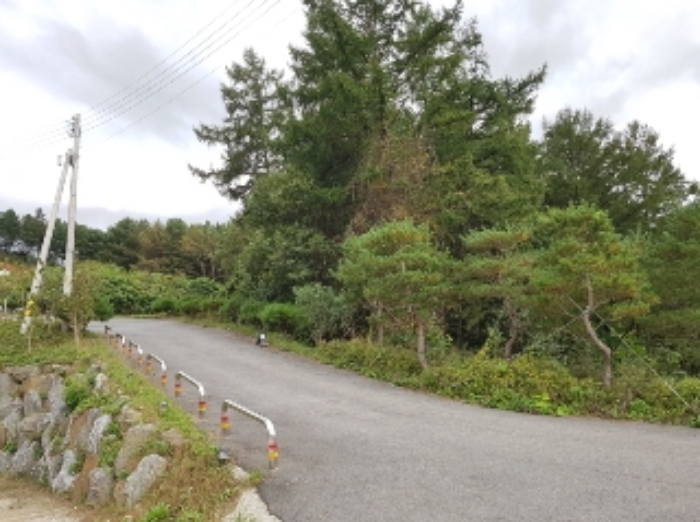 제시부동산 목록10번