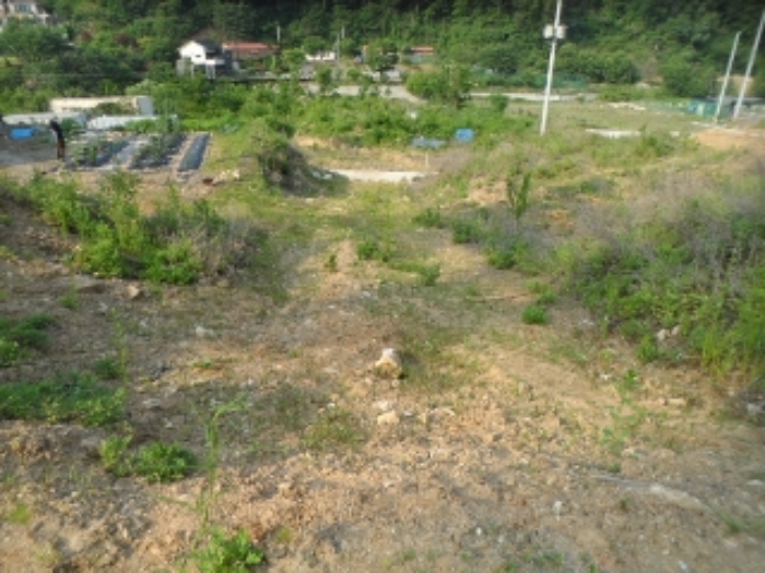 목록14 현황 사진