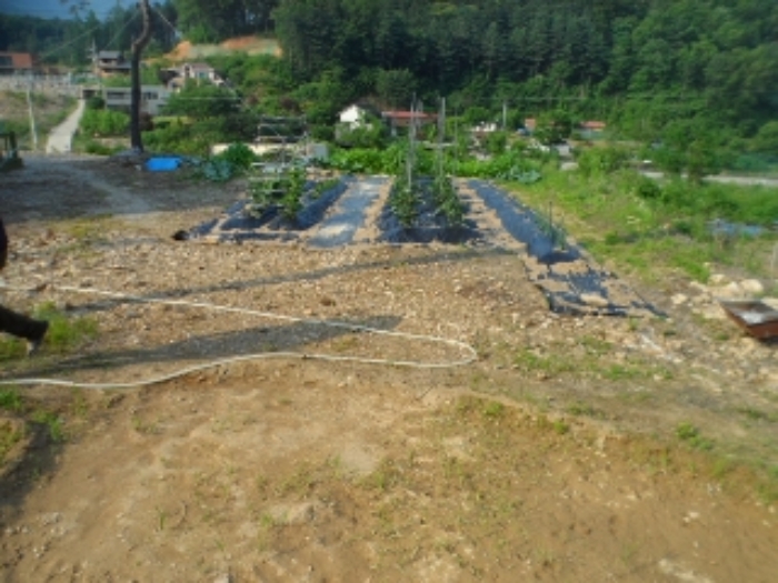 목록14 현황 사진