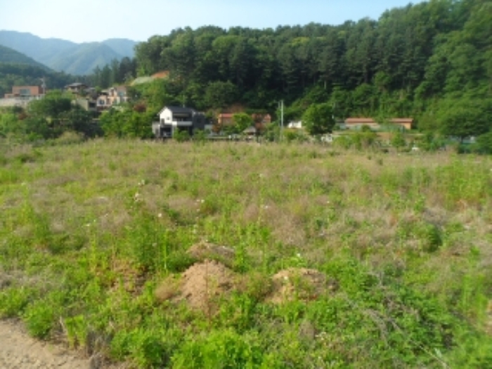 목록17 현황 사진