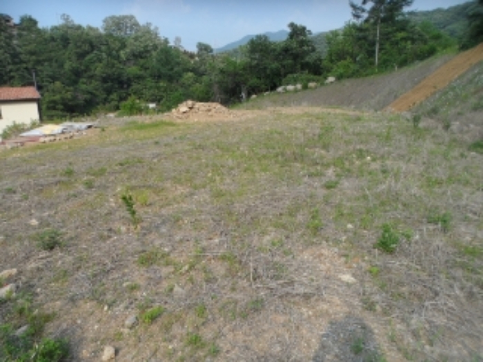 목록11 현황 사진