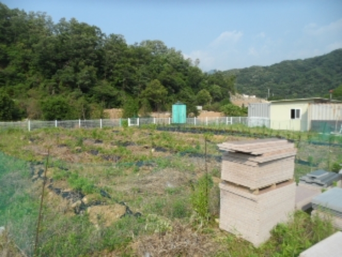 목록11 현황 사진