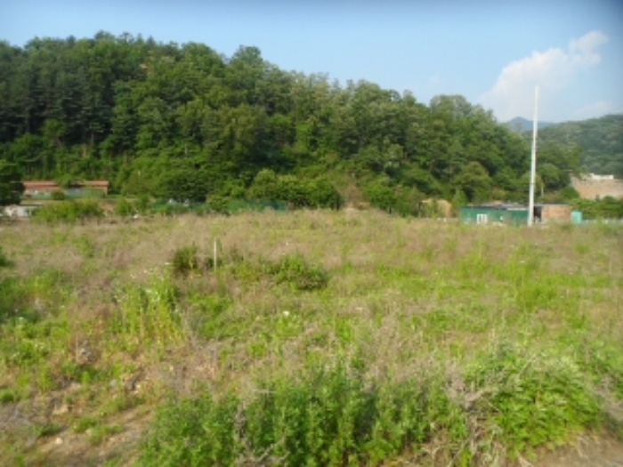 목록17 현황 사진