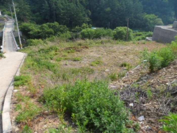 목록23,25 현황 사진