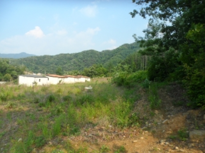 목록10 현황 사진