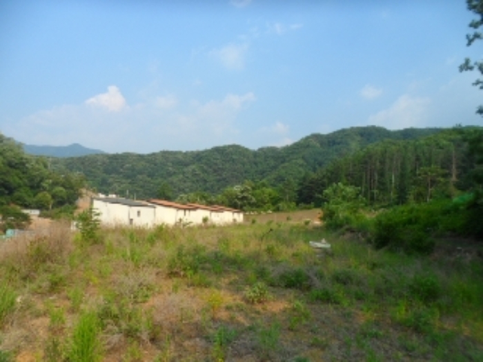 목록10 현황 사진