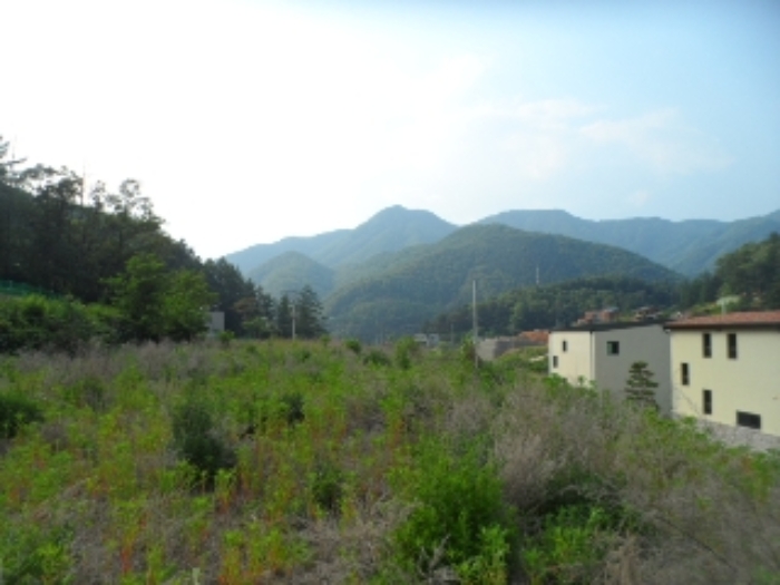 목록10 현황 사진