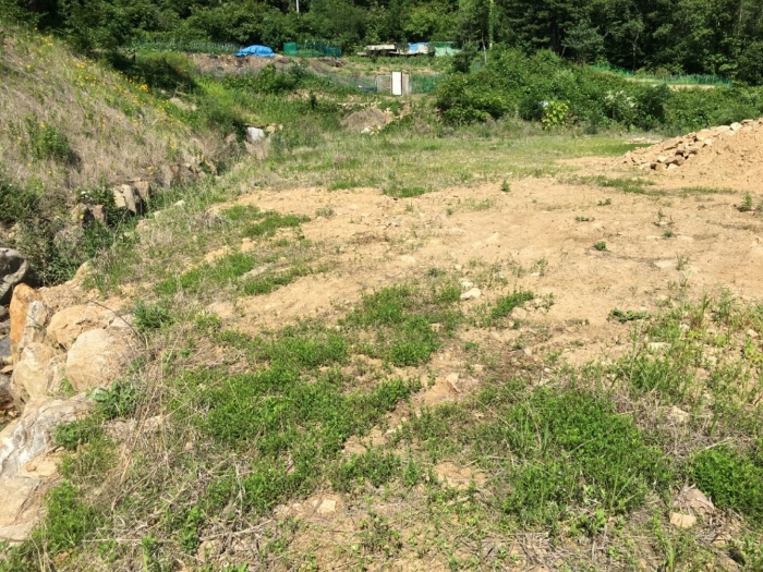 기호(11) 전경 (1)