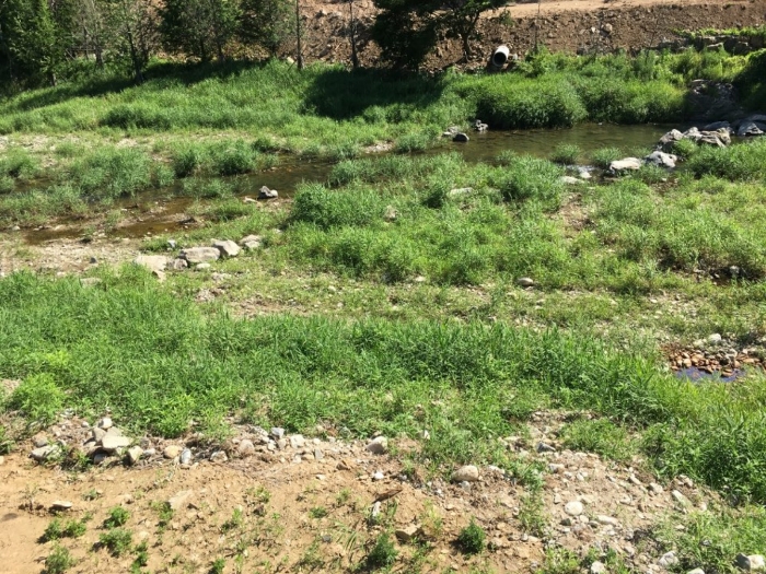 기호(12) 일부 하천 전경