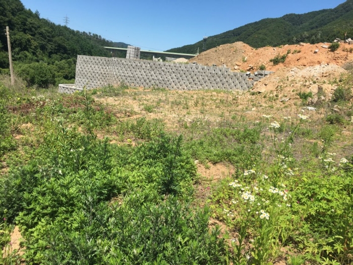 기호(23,25) 전경