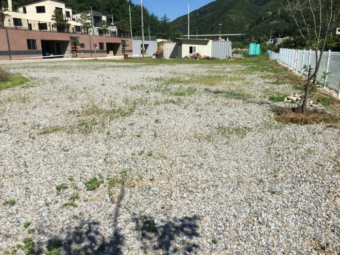 기호(11) 전경 (2)