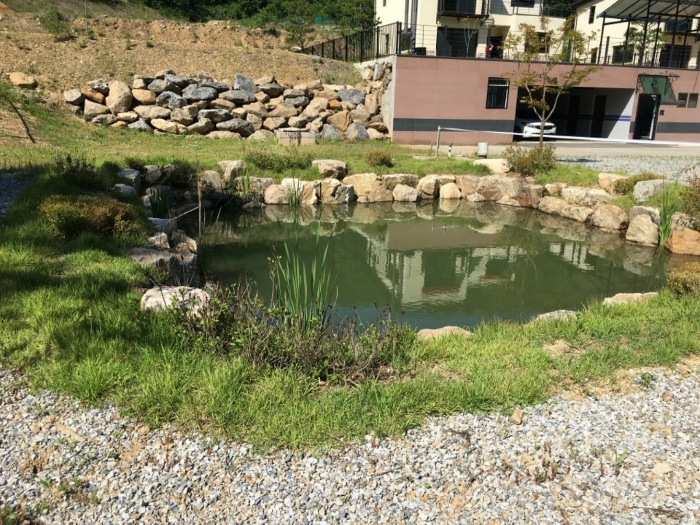 기호(11) 일부 연못 전경