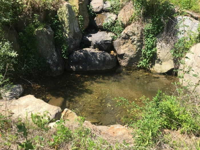 기호(2) 일부 연못 전경