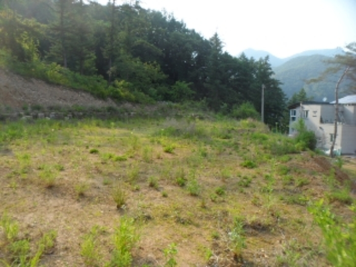 목록14 현황 사진