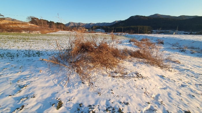 제시외 분묘(기호2 지상소재)