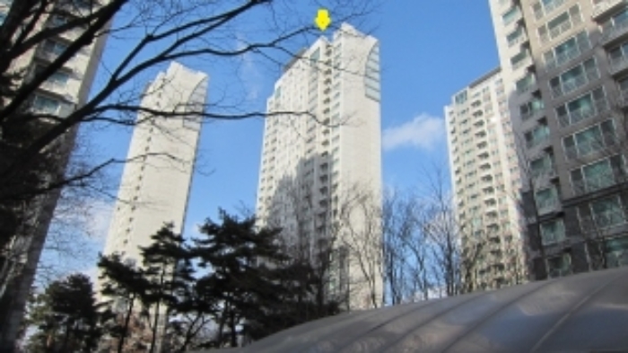 건물동을 남쪽에서 바라본 전경