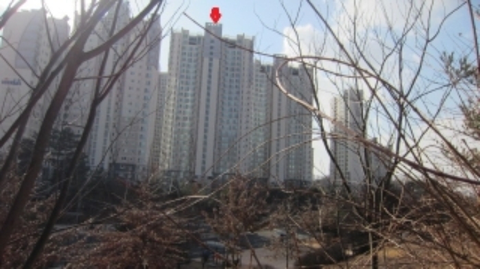 건물동을 포함한 단지 주변을 북동쪽에서 바라본 전경