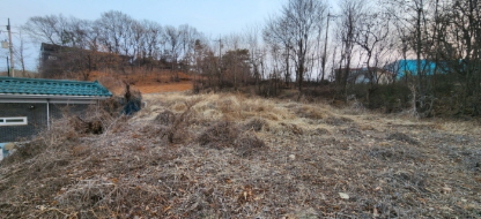 도로 반대편에서 본 목록1. 전경