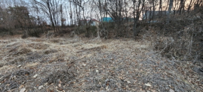 도로 반대편에서 본 목록2. 전경