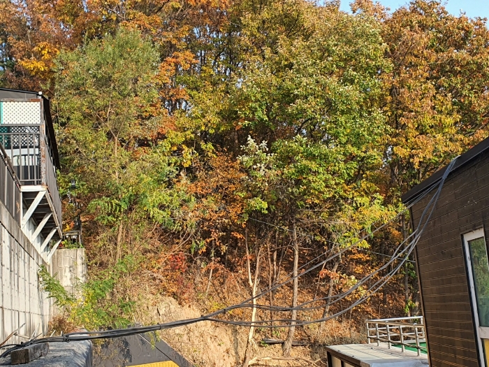 기호3 전경