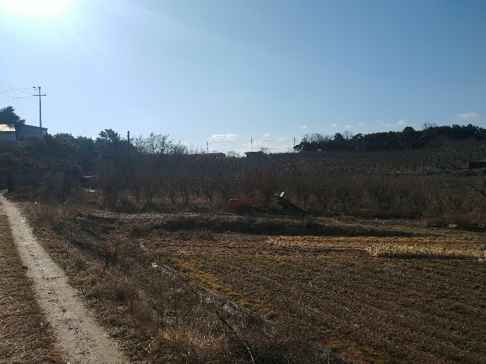 본건기호(1) 근경 및 인접도로