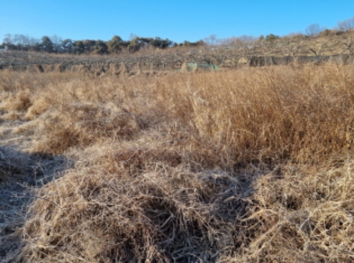 목록 2 부동산 사진