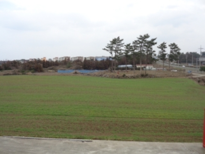 소재지1,2(함덕리 780, 785) 전(경작지)