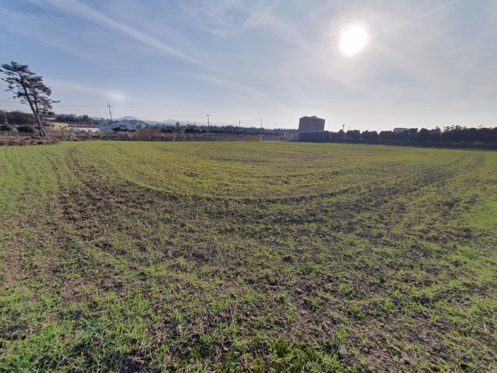 일련번호 1-3) 전경Ⅱ