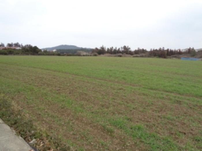 소재지3.(함덕리 787) 전(경작지)