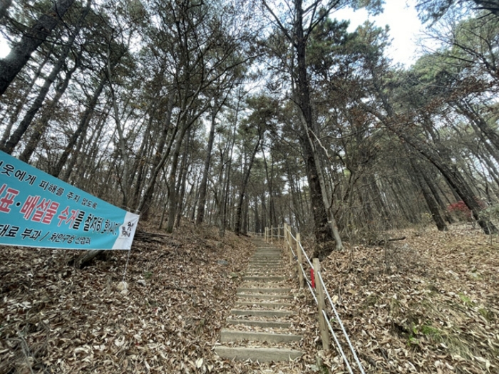 임도(등산로)전경