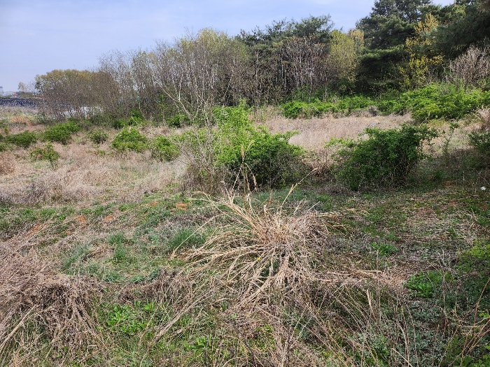 본건 남동측 전경