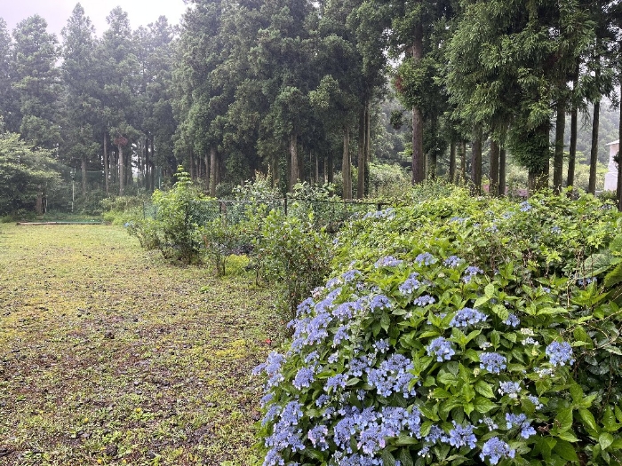 본건 기호(9) 전경