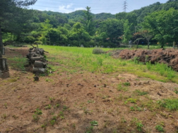 도로 좌측 수목이 없는 공터 부분 사진