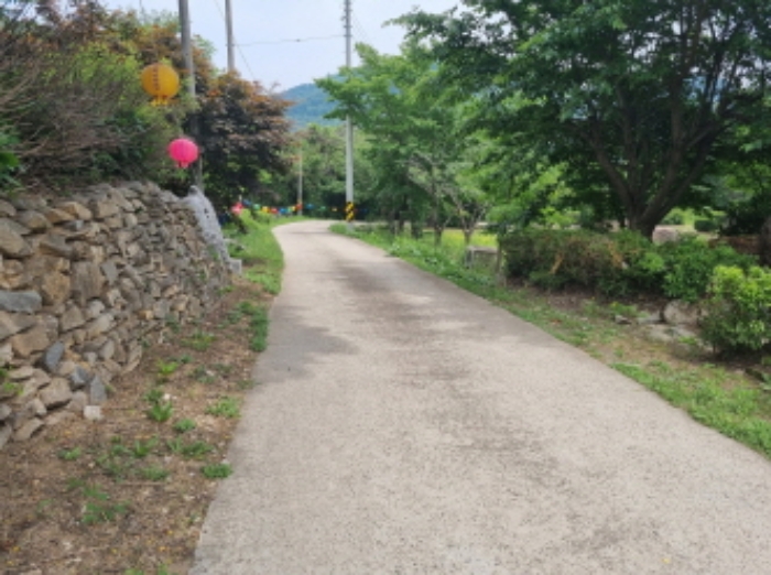 본건 부동산 중앙으로 개설되어 있는 도로 사진