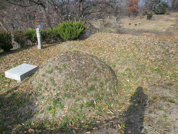 지상 제시외 분묘