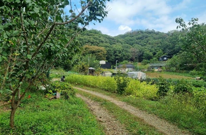 본건 전경
남측촬영