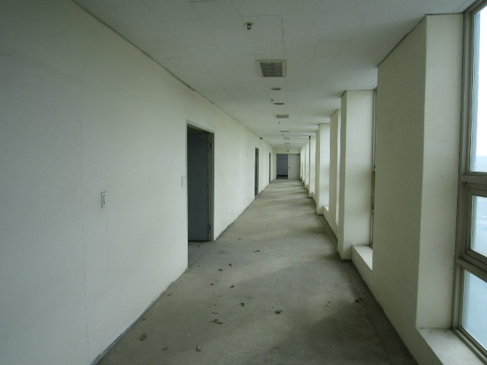 본건 기호 1 건물 5층