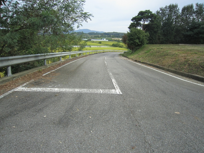 본건 동측 진입로