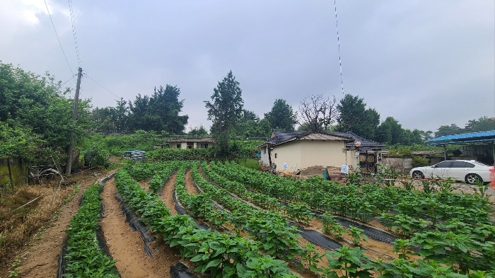 본건 기호(2)토지 주변 전경