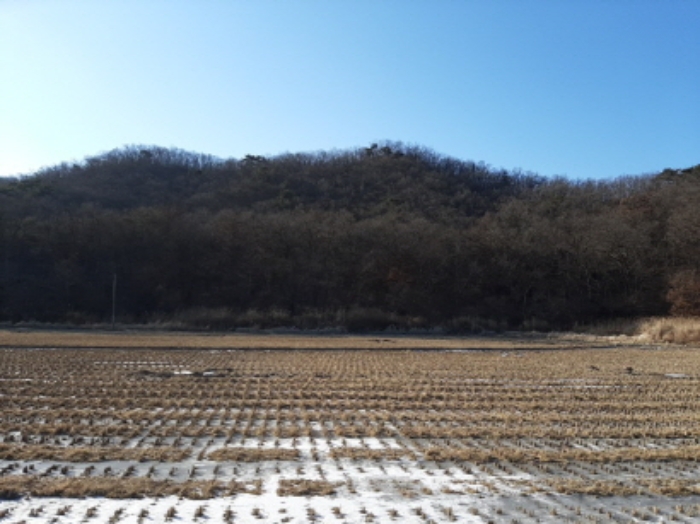 목록28.전경(산밑이며 숲이 무성함)