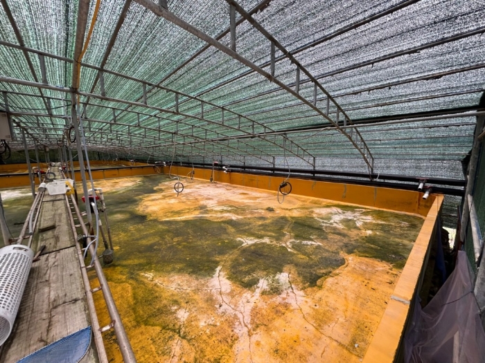 제시외건물(ㄱ)