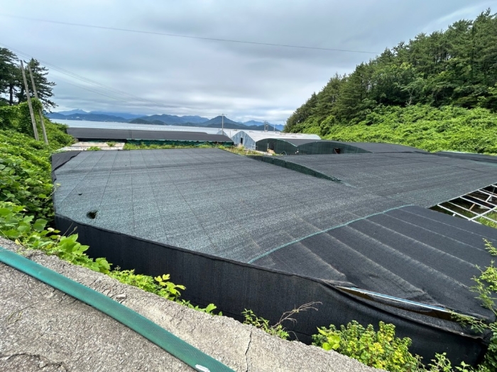 제시외건물(ㄷ)