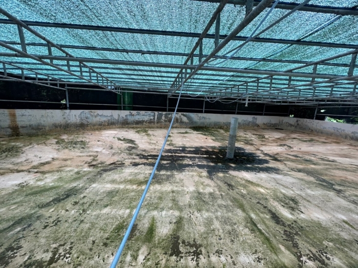 제시외건물(ㄷ)