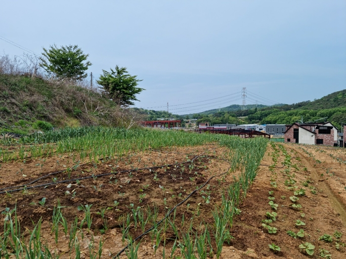 본건 기호(2,4) 남동측에서 촬영