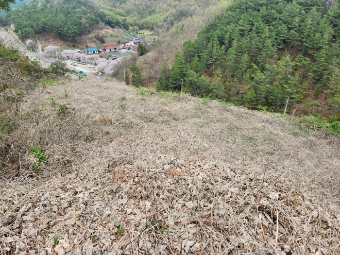 2단계 조성된 부분