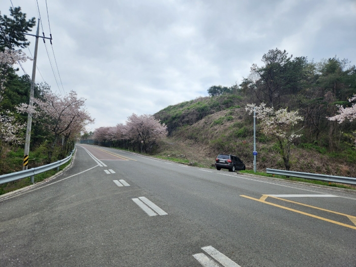 본건 전경, 북측 인근에서 촬영