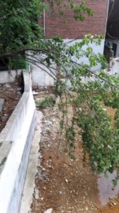 이 사건 대지 모습 3