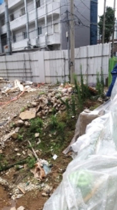 이 사건 대지 모습 6