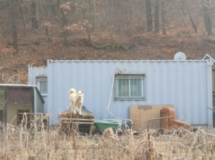 목록1. 지상 제시 외 컨테이너(2개)