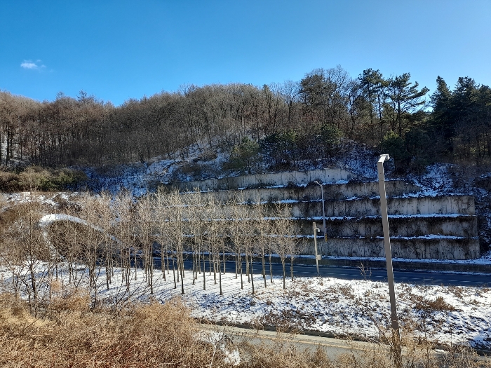 [본건(옹벽 윗 부분) - 북측에서 촬영]